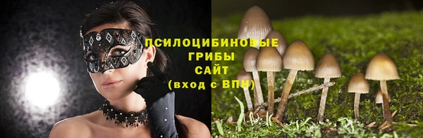 шишки Аркадак