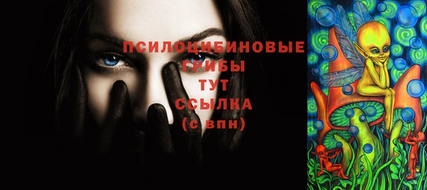 шишки Аркадак