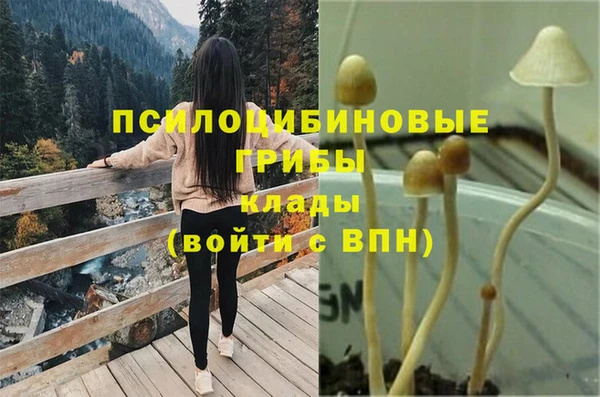 шишки Аркадак