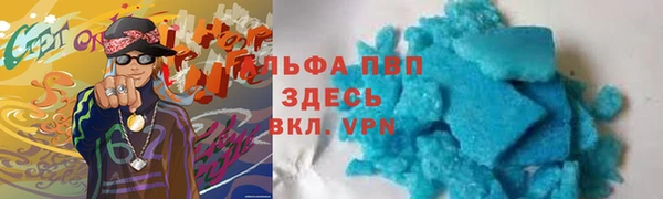 шишки Аркадак