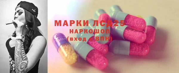 шишки Аркадак