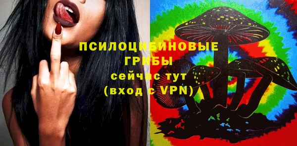 шишки Аркадак