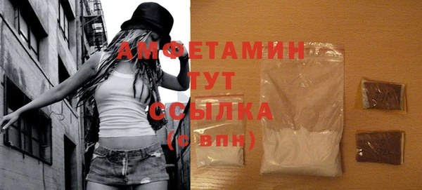 шишки Аркадак