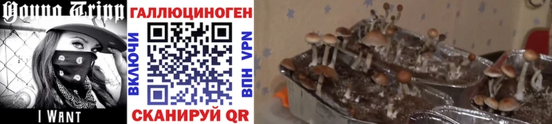 Псилоцибиновые грибы ЛСД  Ленск 